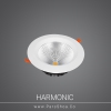 Harmonic30w