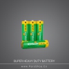 battery-SHD-2a