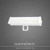 GrowthPlant