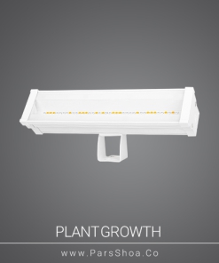 GrowthPlant