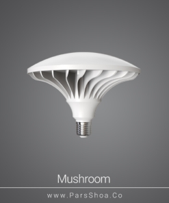 mushroom-80w