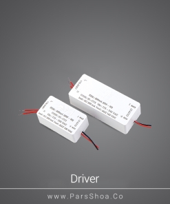 driver