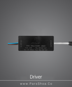 Driver